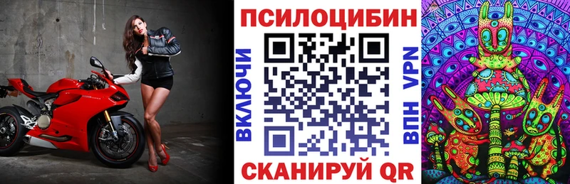 Псилоцибиновые грибы ЛСД  ссылка на мегу как зайти  Тайшет  что такое  