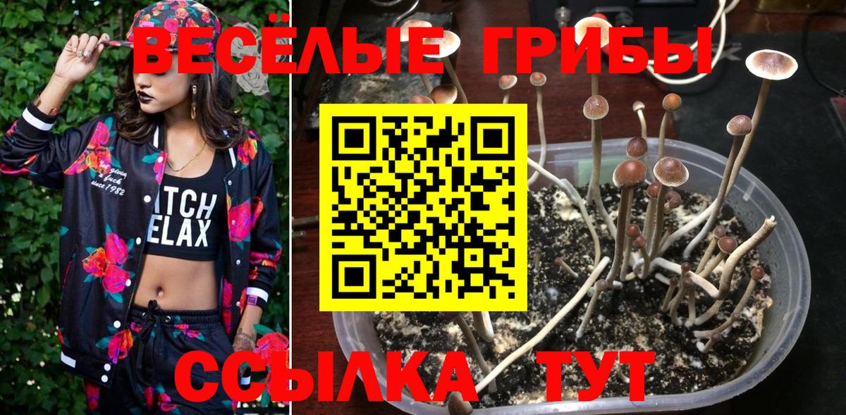 Тайшет  Галлюциногенные грибы Magic Shrooms  Псилоцибиновые грибы прущие грибы  Вход с VPN 